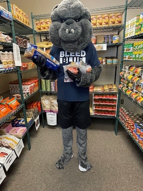 Bulldog standing in pantry holding food