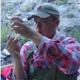 Dr. Rickey Cothran at work.